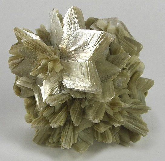 muscovite