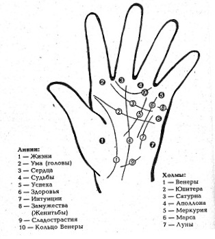 ruka-hiromantiya